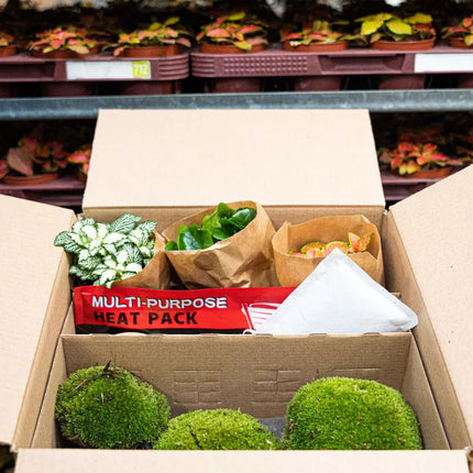 Heat Pack 72 uur - Winter tip