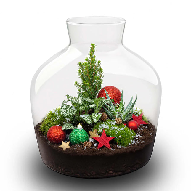 Kerst terrarium 'Holly' - DIY planten terrarium - Ø 29 cm ↑ 30 cm