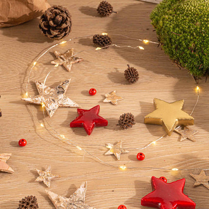 Kerst - Planten terrarium pakket - Mini-kerstboom + Asparagus + Fittonia Rood + Kit - Navulling & Startpakket- DIY