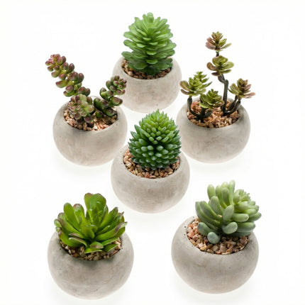 Mini vetplanten in cementen pot - Kunstplant - Succulent mix set 6 - Ø 6,5