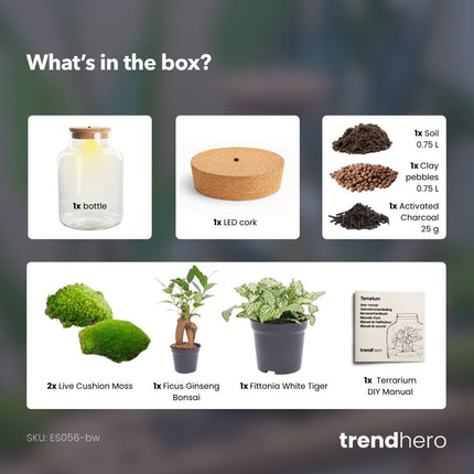 Little Milky - DIY Planten terrarium - Ecosysteem plant - Ø 17 cm ↑ 25 cm