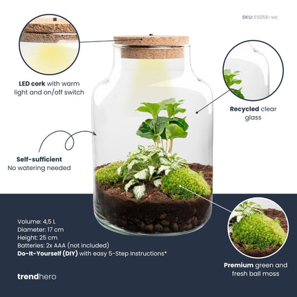 Little Milky - DIY Planten terrarium - Ecosysteem plant - Ø 17 cm ↑ 25 cm