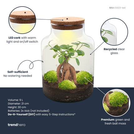 Milky Bonsai - DIY Planten terrarium - Ecosysteem plant - Ø 21 cm ↑ 30 cm