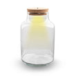 Terrarium fles 'Milky' - Incl. LED-kurk - Gesloten terrarium Ø 21 cm ↑ 30 cm