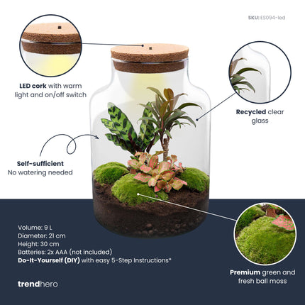 Milky Palm - DIY Planten terrarium - Ecosysteem plant - Ø 21 cm ↑ 30 cm