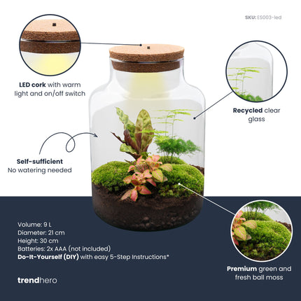 Milky - DIY Planten terrarium - Ecosysteem plant - Ø 21 cm ↑ 30 cm