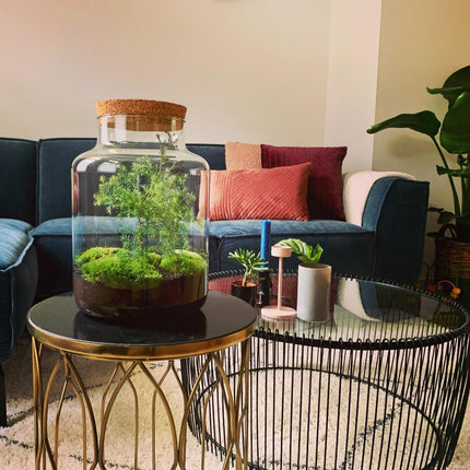 Milky Christmas - Planten terrarium met kerstboom en verlichting - ↑ 30 cm