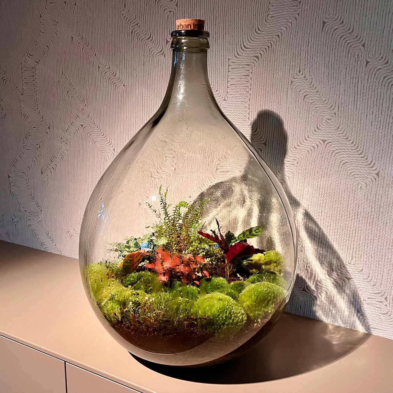 planten terrarium groot Mini-ecosysteem plant • URBANJNGL L • Planten terrarium groot – Woonhero.nl