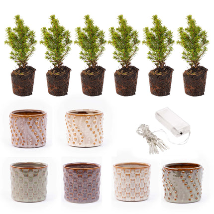 Mini-kerstboom set 6 - Inclusief pot set Madrid