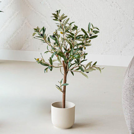 Mini olijfboom set - 3 stuks - Bundelproduct - Kunstplanten