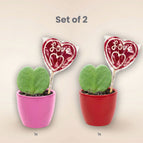 Set van 2 (roze & rood)