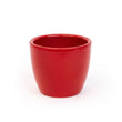Love in Red - Mini plantenpotje - Pot Boule Rood - Ø 6 cm ↑ 6 cm