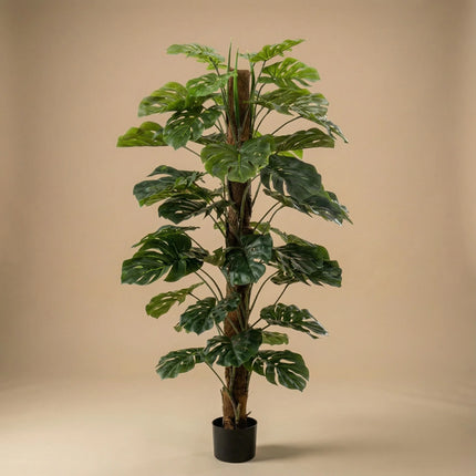Monstera op stam - Kunstboom in zwarte pot - 150 cm