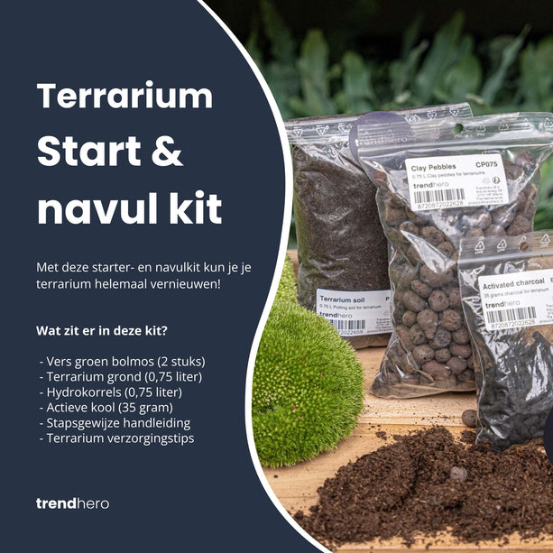 Planten terrarium - Navulling - Startpakket - DIY - Maat S/M