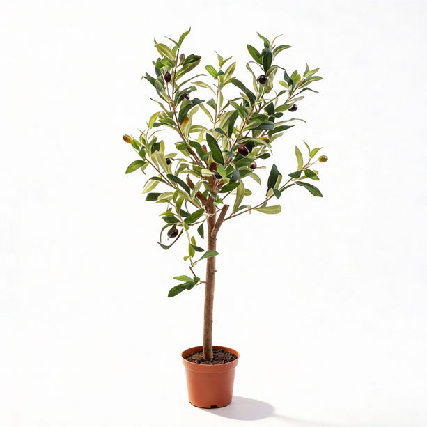 Olijfboom in pot 65cm – Kunstplant