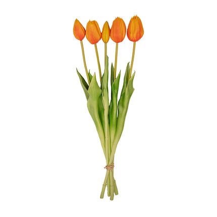 Vaas Jessie Strik + 10x real touch Tulp Orange