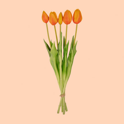 Vaas Jessie Strik + 10x real touch Tulp Orange