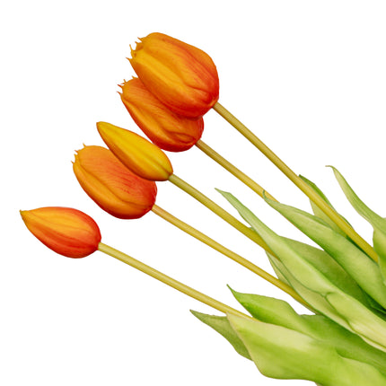 Vaas Jessie Strik + 10x real touch Tulp Orange