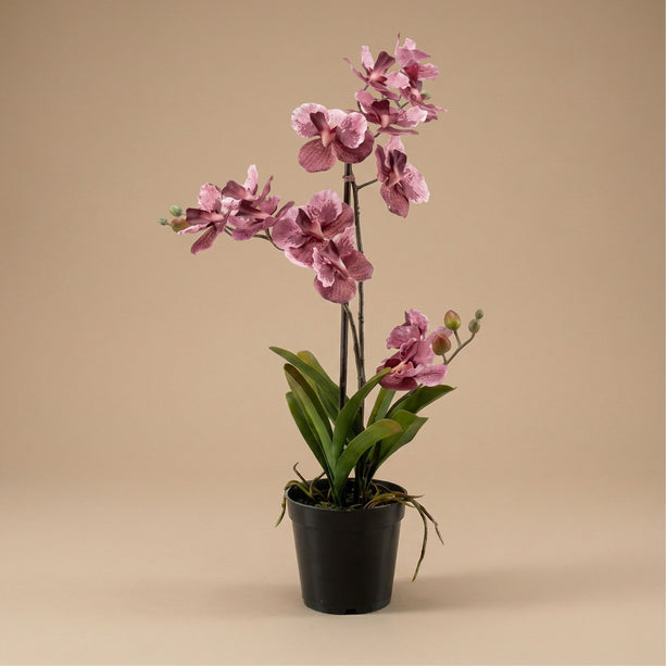 Orchidee Vanda Oudroze - Kunstplant in zwarte pot - 60 cm