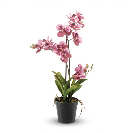 Orchidee Vanda Oudroze - Kunstplant in zwarte pot - 60 cm