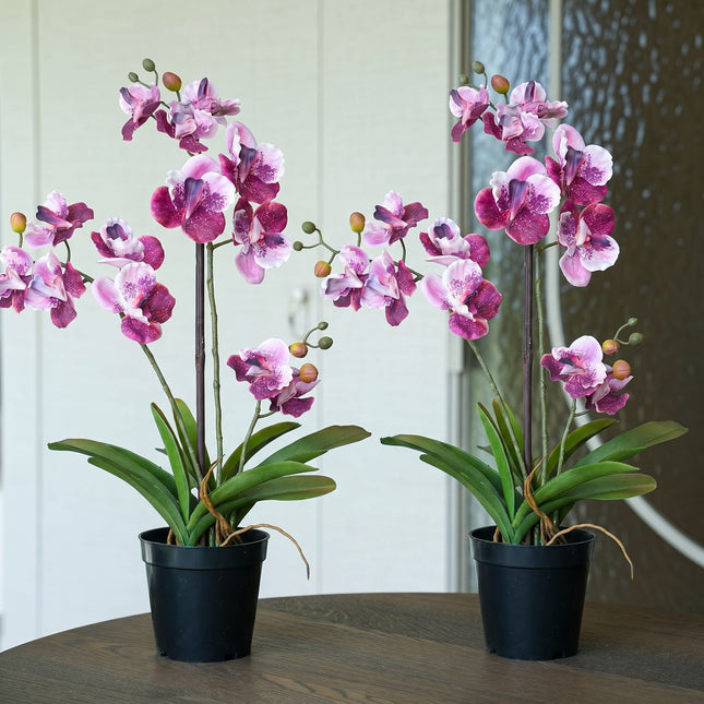 Orchidee Vanda roze 2 stuks - Bundelproduct - Kunstplanten