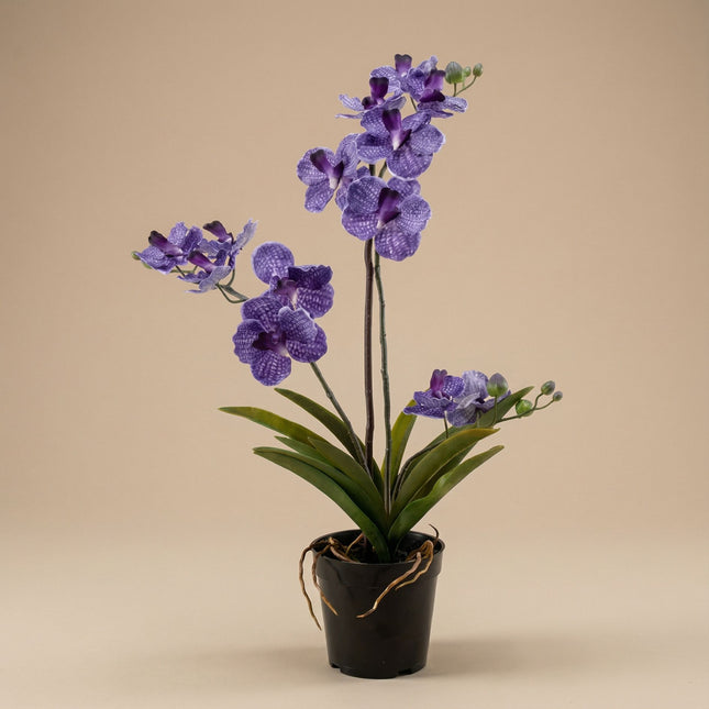 Orchidee Vanda Paars - Kunstplant in zwarte pot - 60 cm
