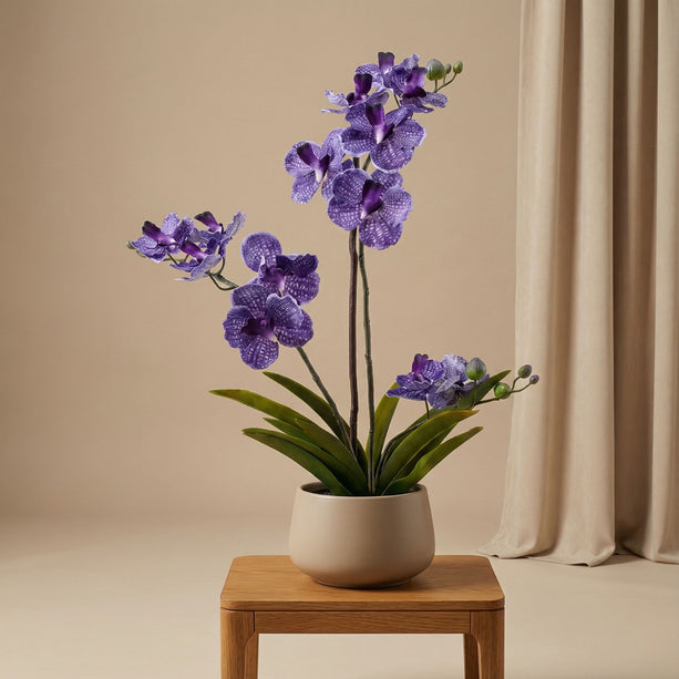 Orchidee Vanda Paars - Kunstplant in zwarte pot - 60 cm