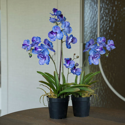 Orchidee Vanda paars 2 stuks - Bundelproduct - Kunstplanten
