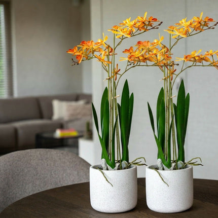 Renanthera orchidee geel/oranje 2 stuks - Bundelproduct - Kunstplanten