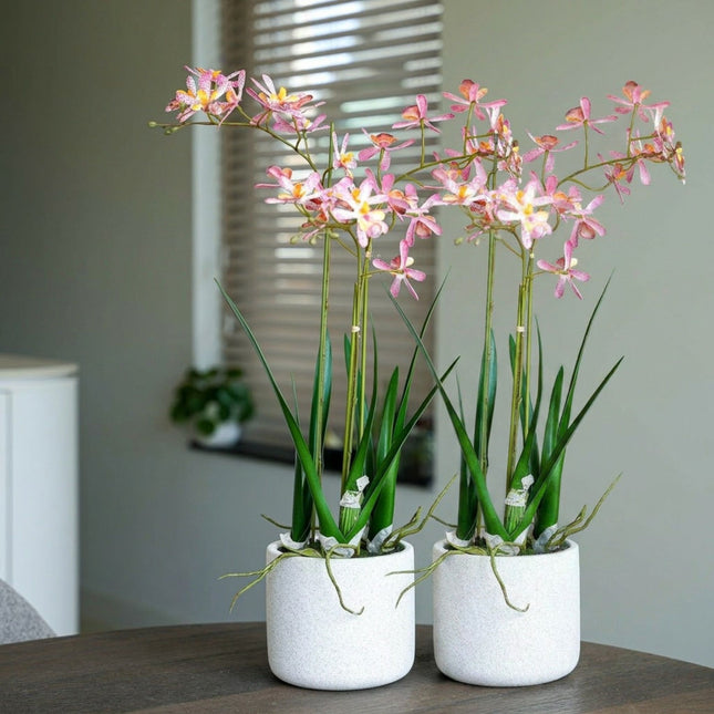 Renanthera orchidee roze 2 stuks - Bundelproduct - Kunstplanten
