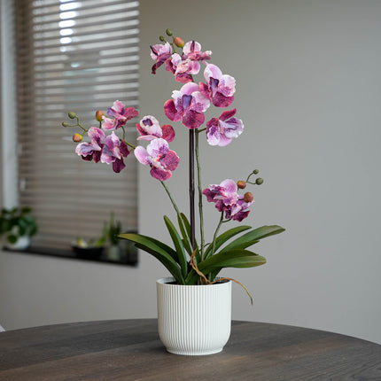 Orchidee Vanda roze 2 stuks - Bundelproduct - Kunstplanten