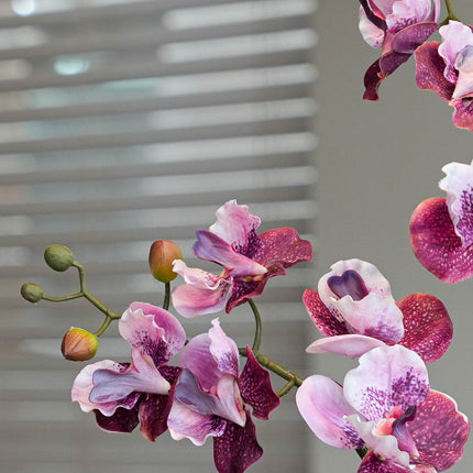Orchidee Vanda roze 2 stuks - Bundelproduct - Kunstplanten