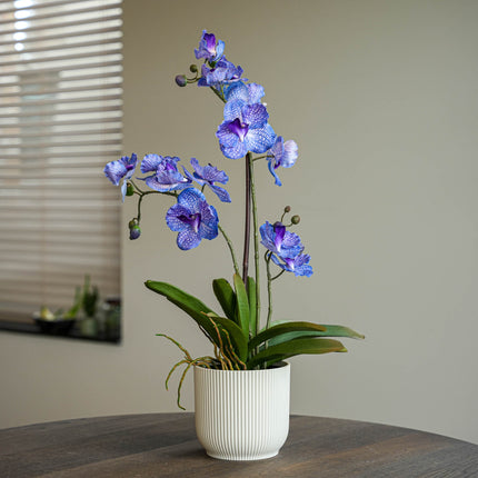 Orchidee Vanda paars 2 stuks - Bundelproduct - Kunstplanten