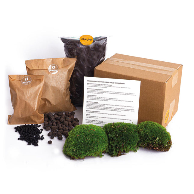 Planten terrarium - Navulling - Startpakket - DIY - Maat L/XL