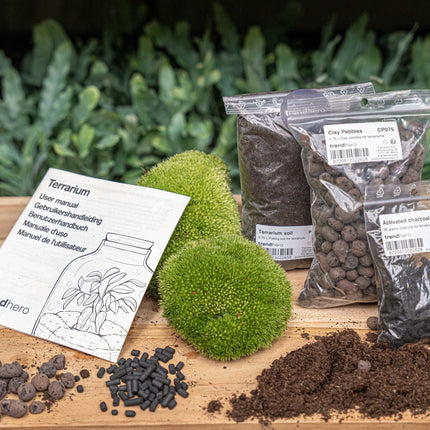 Terrarium Start- & navulpakket -  Maat S/M - DIY
