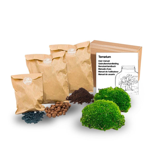Planten terrarium - Navulling - Startpakket - DIY - Maat S/M