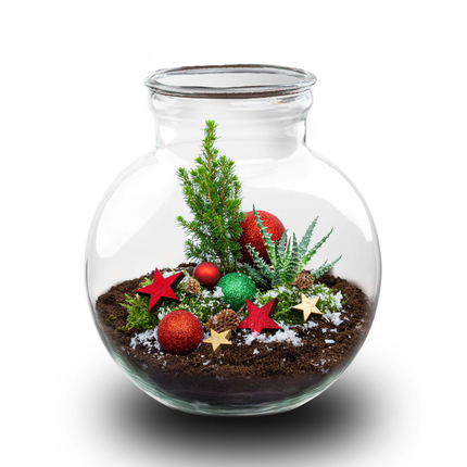 Kerst Terrarium 'Jingle' - DIY planten terrarium - Ø 25 cm ↑ 26,5 cm