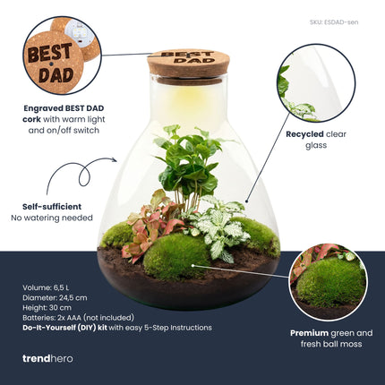 Vaderdag terrarium Sam + gepersonaliseerde gegraveerde kurk met verlichting - Flessentuin DIY kit - Ø 24,5 cm ↑ 30 cm