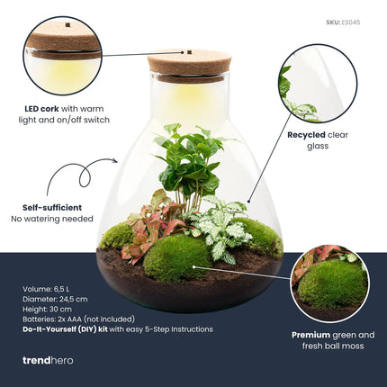 Sam Coffea - DIY Planten terrarium - Ecosysteem plant - Ø 24,5 cm ↑ 30 cm