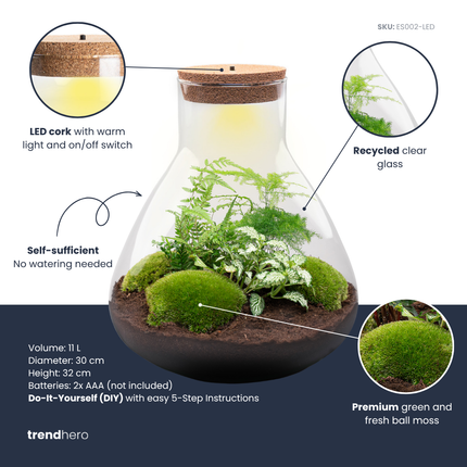 Sam XL Green - DIY Planten terrarium - Terrarium verlichting - Ecosysteem plant - ↑ 32 cm