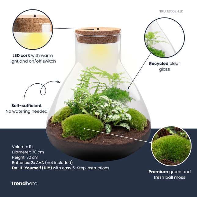 Sam XL Green - DIY Planten terrarium - Terrarium verlichting - Ecosysteem plant - ↑ 32 cm