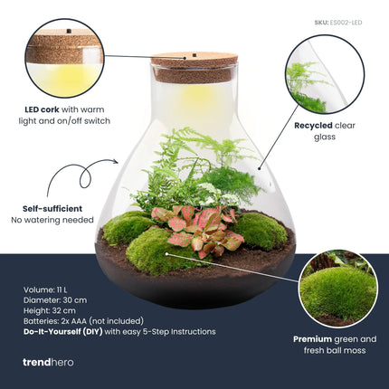 Sam XL Red - DIY Planten terrarium - Ecosysteem plant - Ø 30 cm ↑ 32 cm