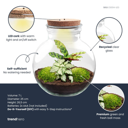 Teddy - DIY Planten terrarium - Ecosysteem plant - Ø 25 cm ↑ 26,5 cm