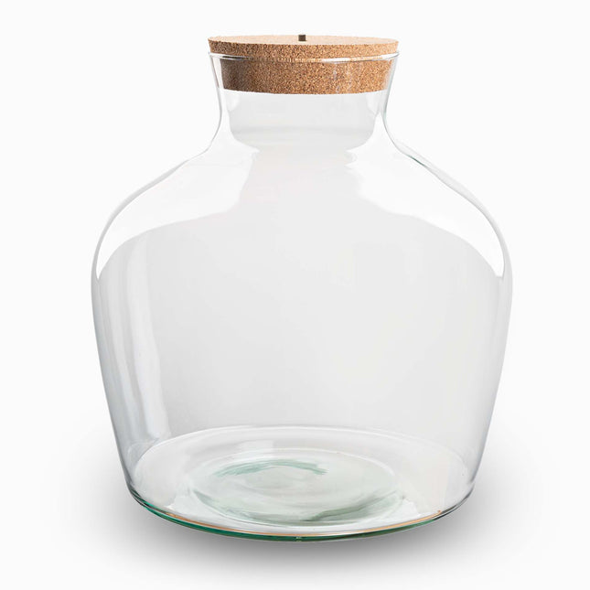 Terrarium fles ‘Fat Joe’ - Incl. LED-kurk - Gesloten terrarium Ø 29 cm ↑ 30 cm