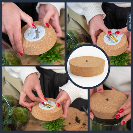 Kurk met verlichting - LED lamp voor terrarium - Terrarium verlichting