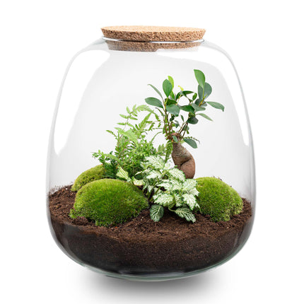 Planten terrarium - Emma - DIY kit - ↑ 25 cm - Ø 23 cm