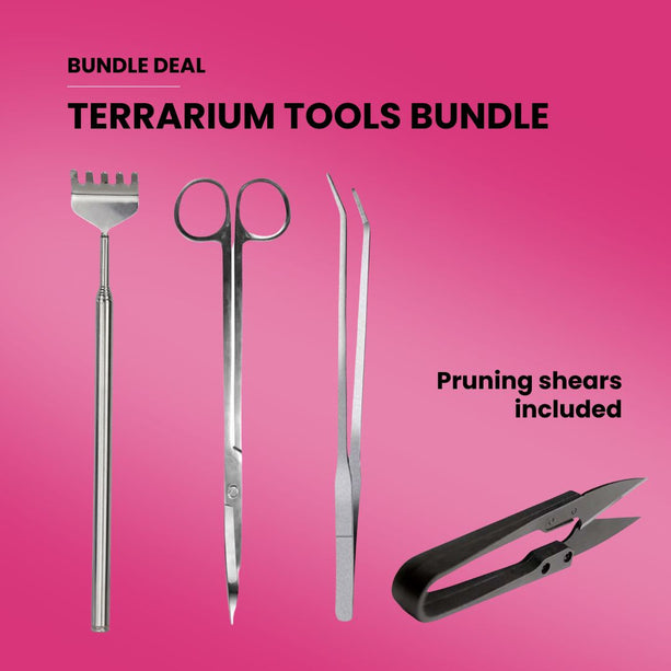 Terrarium Gereedschap Bundle Deal