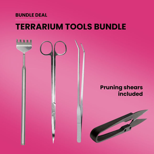 Terrarium Gereedschap Bundle Deal