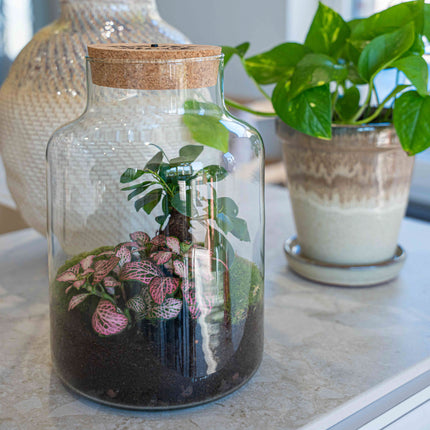 'LOVE MOM' terrarium Little Milky + gegraveerde kurk met licht - Flessentuin - DIY kit - Ø 17 cm ↑ 25 cm - Moederdag
