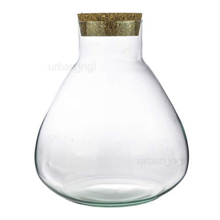 Terrarium fles met kurk - Sammie - Gesloten terrarium ↑ 26,5 cm